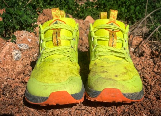 Picture of Altra Lone Peak 8