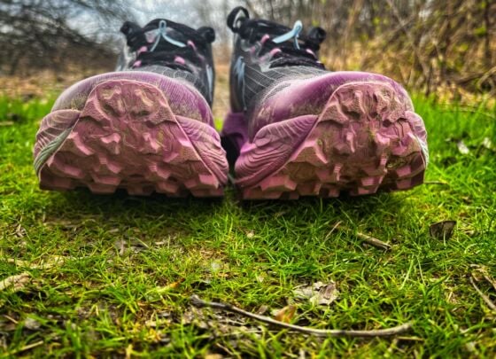 Picture of ASICS Trabuco Max 3