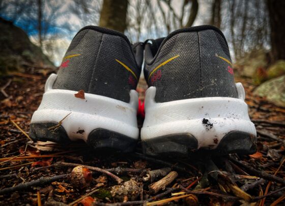 Picture of Brooks Catamount 3