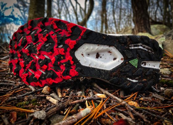 Picture of Brooks Catamount 3