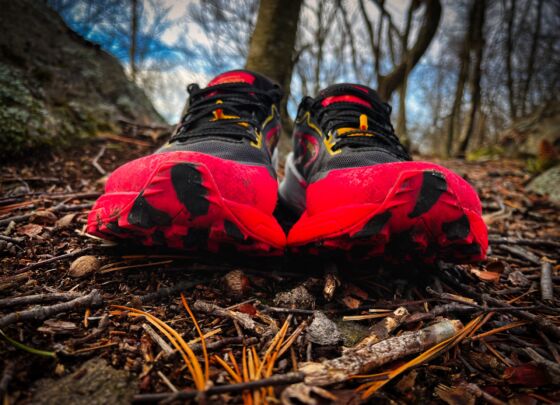 Picture of Brooks Catamount 3