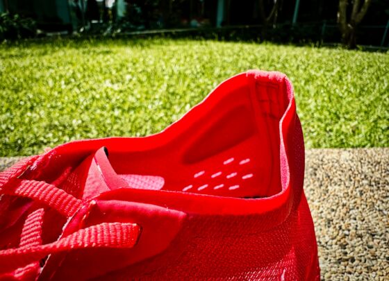 Picture of Mizuno Wave Rebellion Pro 2