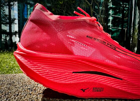 Picture of Mizuno Wave Rebellion Pro 2