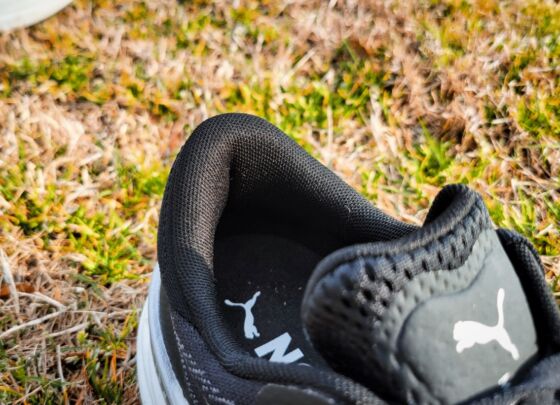 Picture of PUMA Magnify Nitro 2