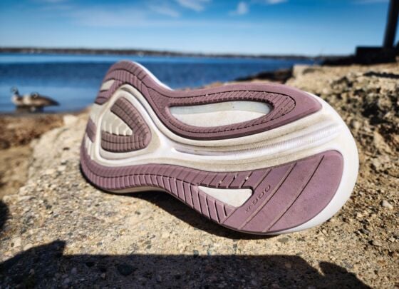 Picture of Saucony Omni 22