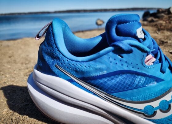 Picture of Saucony Omni 22